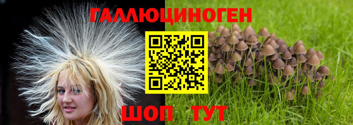 Кызыл  цены наркотик  Вход с VPN  Псилоцибиновые грибы GOLDEN TEACHER  Галлюциногенные грибы GOLDEN TEACHER 