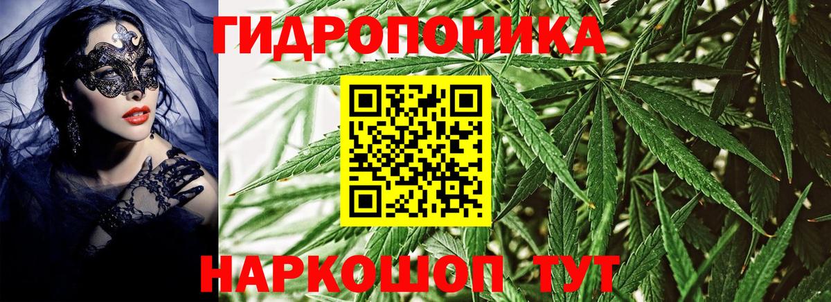 Марихуана семена  Вход с VPN  Марихуана конопля  Каннабис гибрид  Кызыл 
